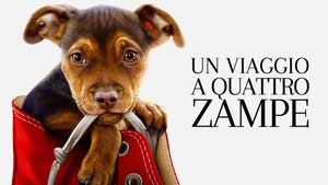 A Dog's Way Home on Animal Planet HD English - past program