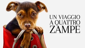 A Dog's Way Home on Animal Planet HD English - past program