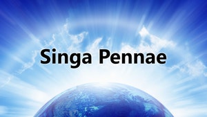 Singa Pennae on Angel TV HD - past program