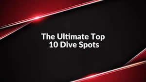 The Ultimate Top 10 Dive Spots on Taiwan Plus - past program