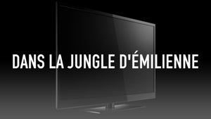 TV5 Monde on TV5 Monde - past program