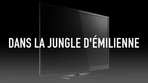 TV5 Monde on TV5 Monde - past program