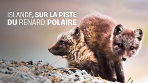 TV5 Monde on TV5 Monde - past program