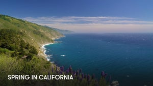 Spring in California on Stingray Naturescape - future program