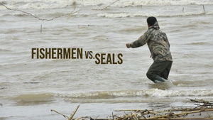 Fishermen vs. Seals on dw - past program