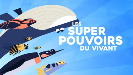 Les super pouvoirs du vivant on TV5 Monde