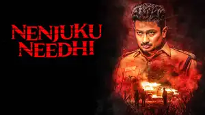 Nenjuku Needhi on Kalaignar TV - past program