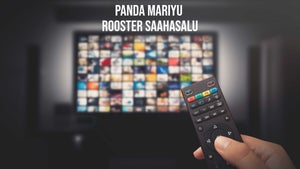 Panda Mariyu Rooster Saahasalu on Kushi TV - future program
