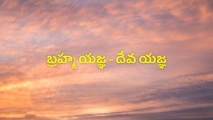 Brahma Yagya - Dev Yagya on Vedic TV - past program