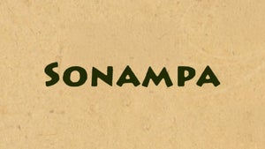 Sonampa on DD Kashir - future program