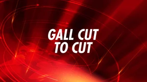 Gall Cut To Cut on WPN World Punjabi News - past program