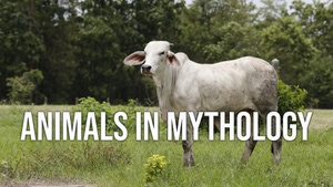 Animals In Mythology on EPIC TV - past program