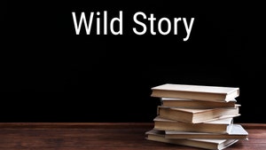 Wild Story on Gujarat  Wild TV - past program