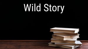 Wild Story on Gujarat  Wild TV - past program