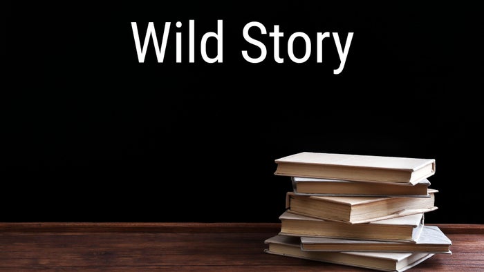Wild Story on JioTV