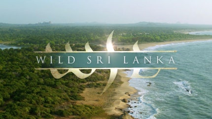 Wild Sri Lanka on Animal Planet HD Tamil