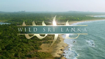 Wild Sri Lanka on Animal Planet HD World