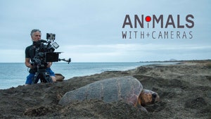Animals with Cameras on Sony BBC Earth SD - past program