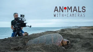 Animals with Cameras on Sony BBC Earth SD - past program