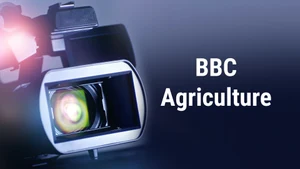 BBC Agriculture on BBC News Gujarati - past program