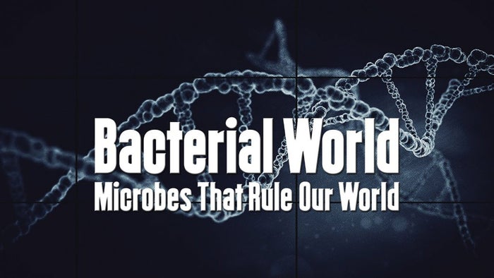 Bacterial World - Microbes That Rule Our World on JioTV