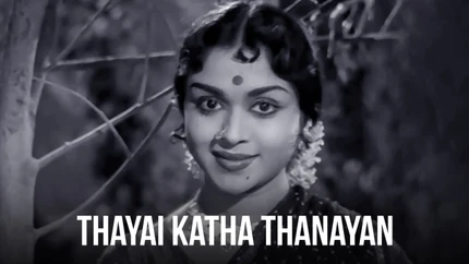 Thayai Katha Thanayan on Vasanth TV