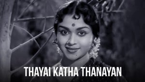 Thayai Katha Thanayan on Vasanth TV - future program