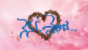 Nenu Sailaja on Sun Gemini HD - live program
