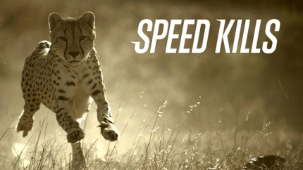 Speed Kills on Animal Planet HD World