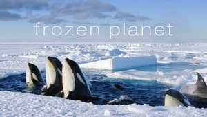 Frozen Planet on Sony BBC Earth SD - past program