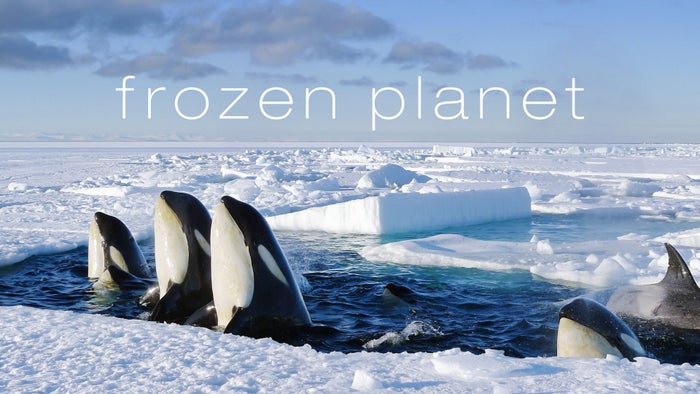 Frozen Planet Episode No.2 on JioTV