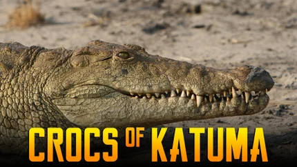 Crocs of Katuma on Animal Planet HD World