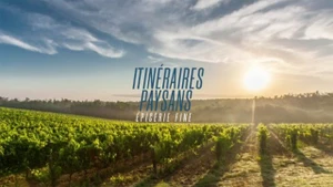 TV5 Monde on TV5 Monde - past program