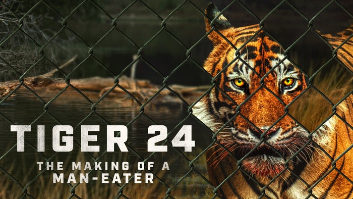 Tiger 24 on JioTV
