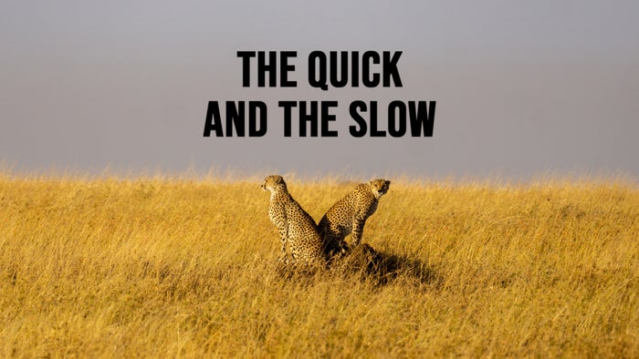 The Quick and the Slow on JioTV