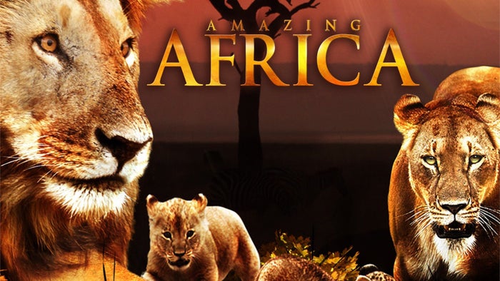 Amazing Africa on JioTV