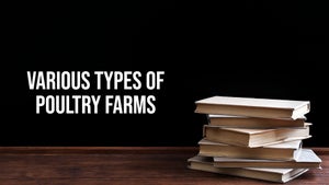 Various Types of Poultry Farms on DD Gyandarshan - past program