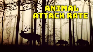 Animal Attack Rate on Animal Planet HD English - past program
