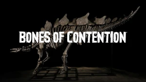 Bones of Contention on Channel News Asia International - past program