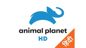 The Magical World Of Amphibians on Animal Planet HD Hindi - past program