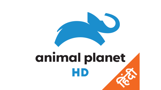 The Magical World Of Amphibians Episode No.2 on JioTV