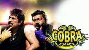 Cobra on Star Gold 2 HD - past program