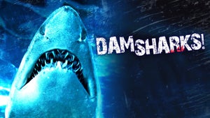 Dam Sharks! on Sony Wah - past program