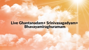 Live Sri Kalyana Venkateswaraswami Kalyanam / Srinivasamangapuram on SVBC - past program