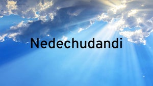 Nedechudandi on Vanitha - future program