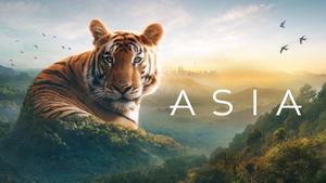 Asia on Sony BBC Earth SD - past program