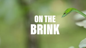 On The Brink Episode 3 on National Geographic HD - past program