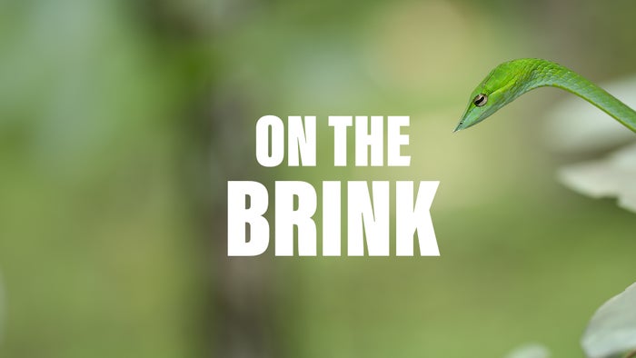 On The Brink Episode No.3 on JioTV