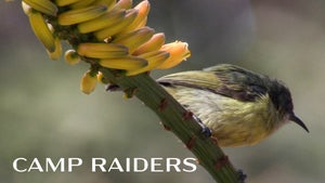 Camp Raiders on INWILD - past program