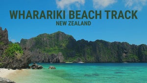 Wharariki Beach Track: New Zealand on Stingray Naturescape - past program